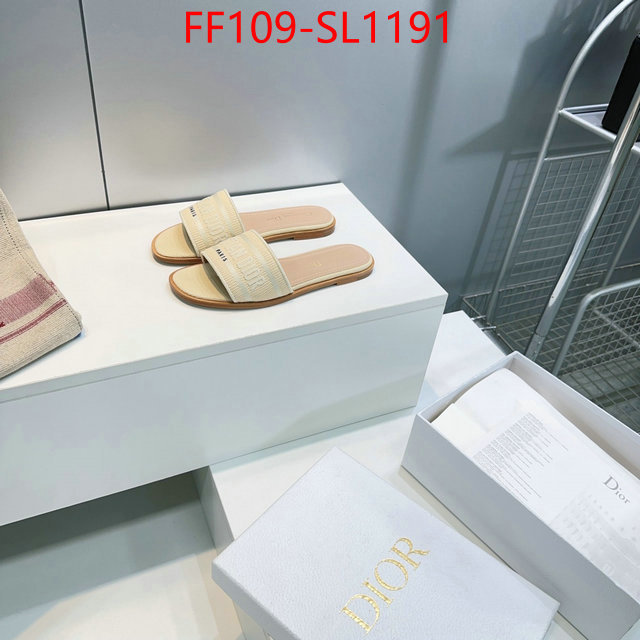 Women Shoes-Dior where to buy high quality ID: SL1191 $: 109USD