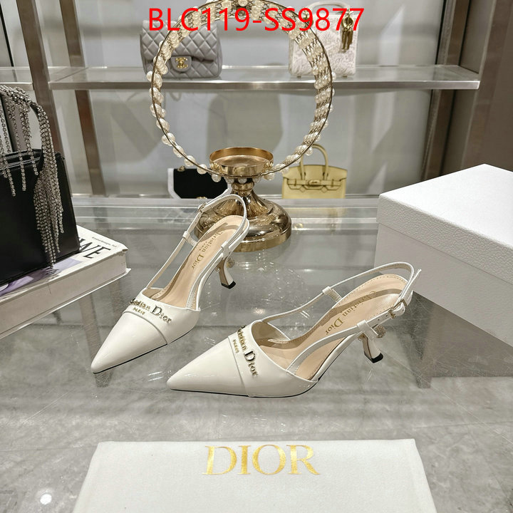 Women Shoes-Dior shop the best high authentic quality replica ID: SS9877 $: 119USD-shoes yupoo Women Shoes-Dior shop the best high authentic quality replica ID: SS9877 $: 119USD
