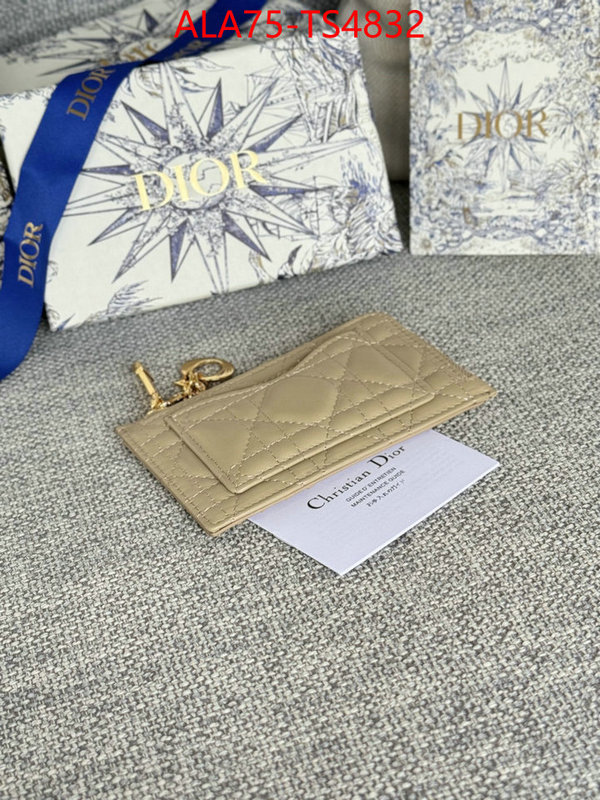 ID: TS4832 $: 75USD,