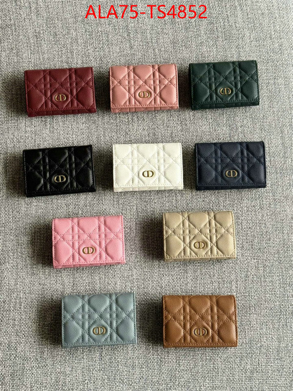 ID: TS4852 $: 75USD,