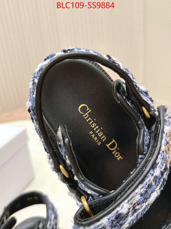 Women Shoes-Dior wholesale 2024 replica ID: SS9884 $: 109USD