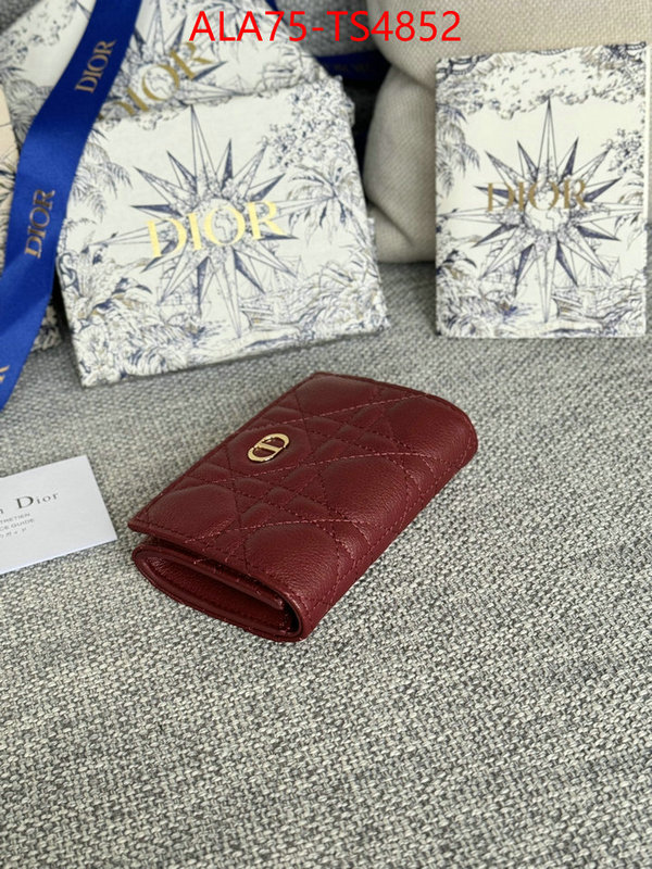 ID: TS4852 $: 75USD,