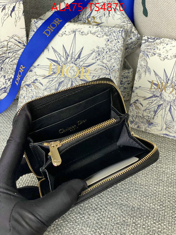 ID: TS4870 $: 75USD,