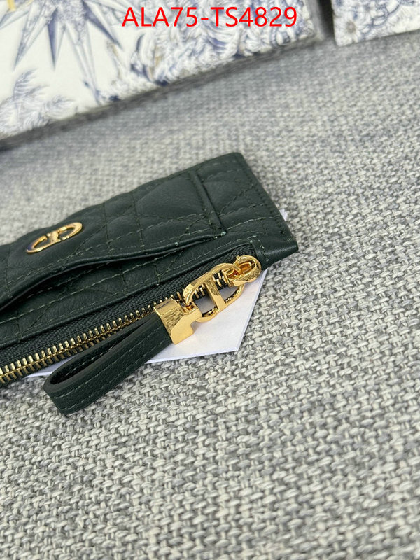 ID: TS4829 $: 75USD,