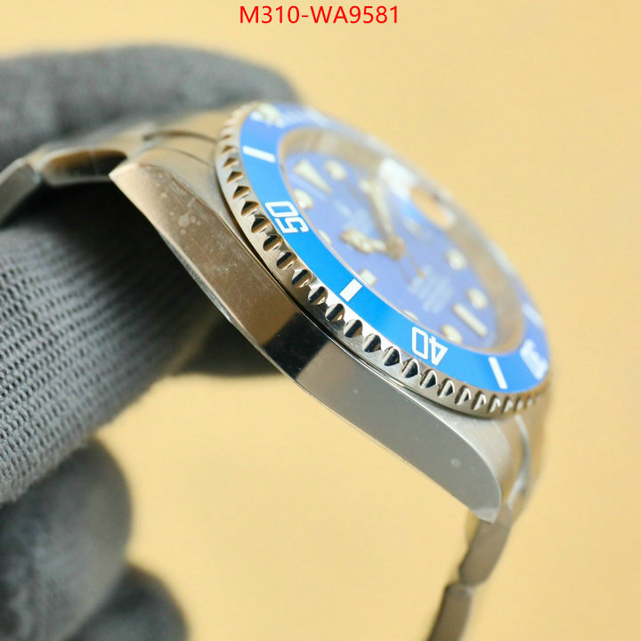ID: WA9581
