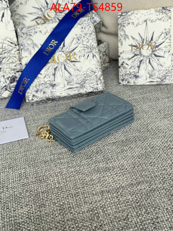ID: TS4859 $: 79USD,