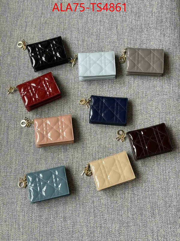 ID: TS4861 $: 75USD,