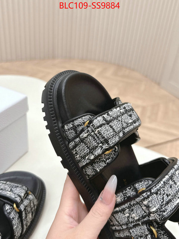 Women Shoes-Dior wholesale 2024 replica ID: SS9884 $: 109USD
