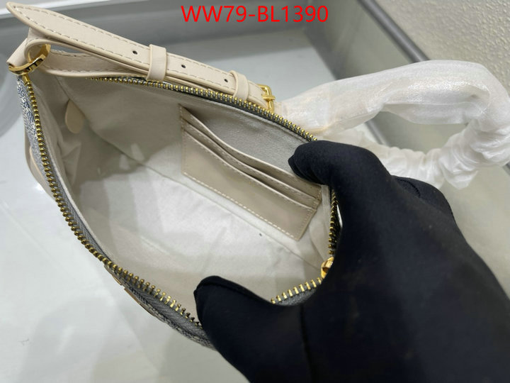 Dior Bags(4A)-Other Style- wholesale designer shop ID: BL1390 $: 79USD,