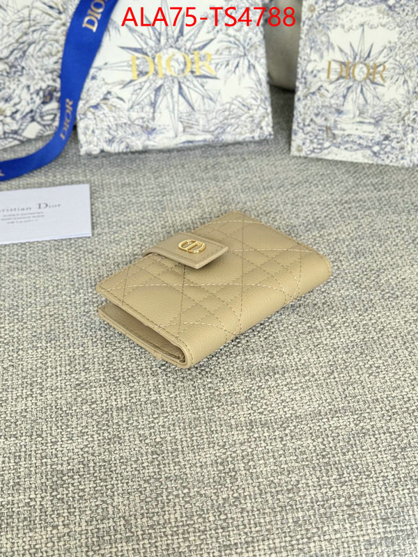 ID: TS4788 $: 75USD,
