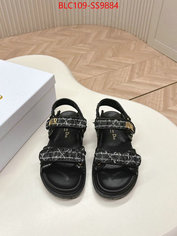 Women Shoes-Dior wholesale 2024 replica ID: SS9884 $: 109USD