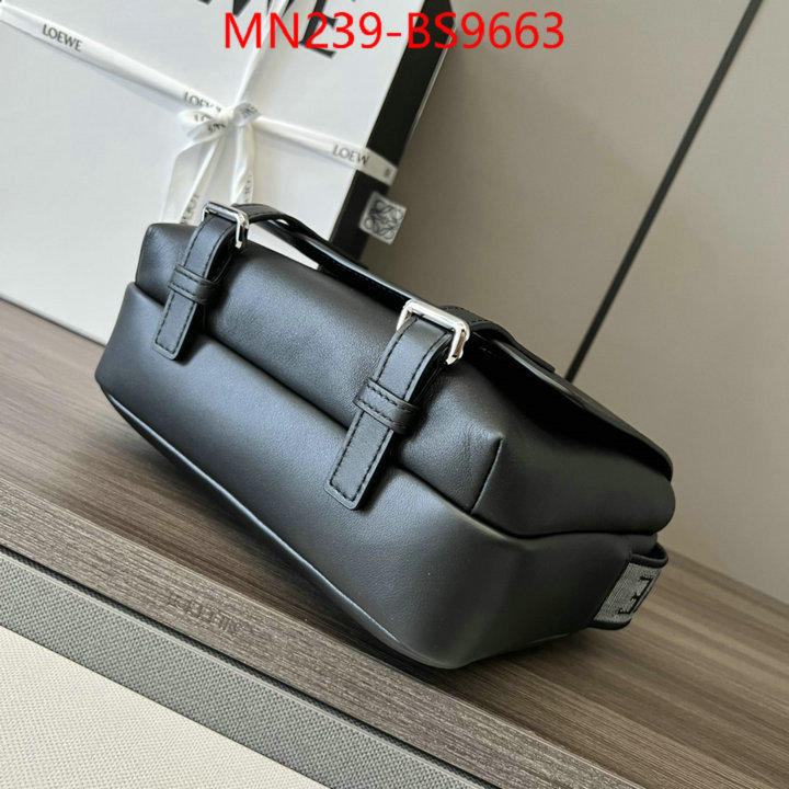 Loewe Bags(TOP)-Crossbody- luxury cheap ID: BS9663 $: 239USD,