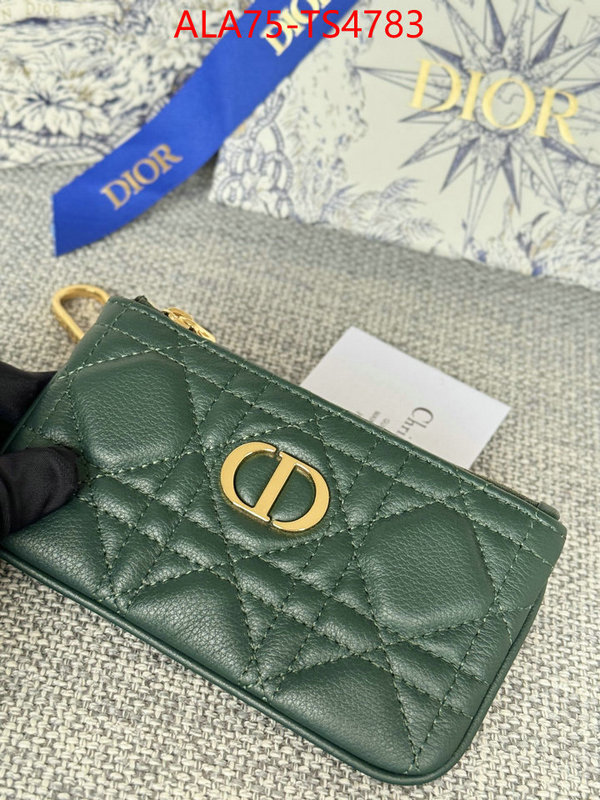 ID: TS4783 $: 75USD,