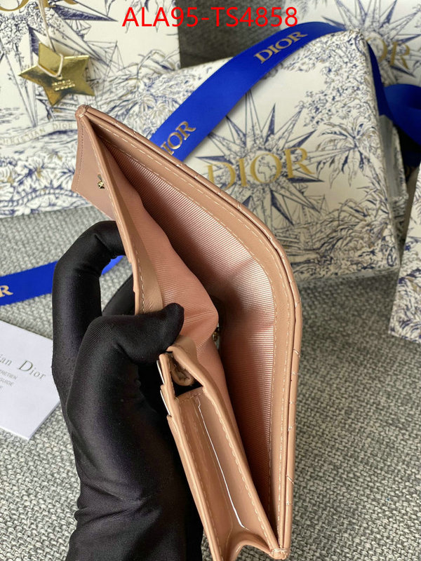 ID: TS4858 $: 95USD,