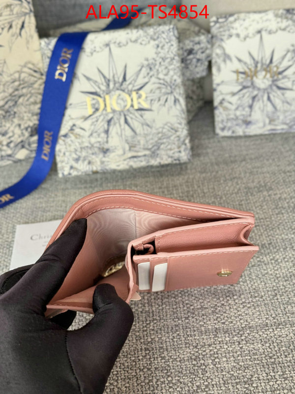 ID: TS4854 $: 95USD,