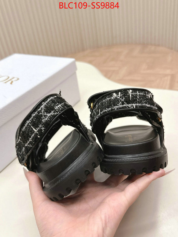 Women Shoes-Dior wholesale 2024 replica ID: SS9884 $: 109USD