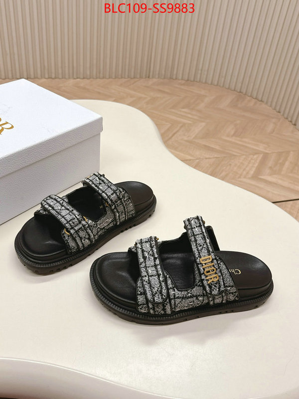 Women Shoes-Dior for sale online ID: SS9883 $: 109USD