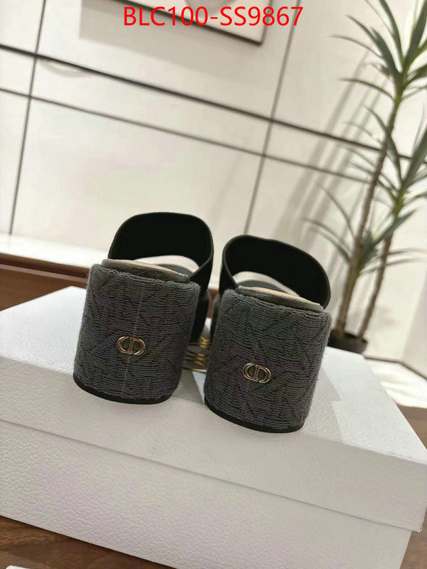 Women Shoes-Dior the top ultimate knockoff ID: SS9867 $: 100USD