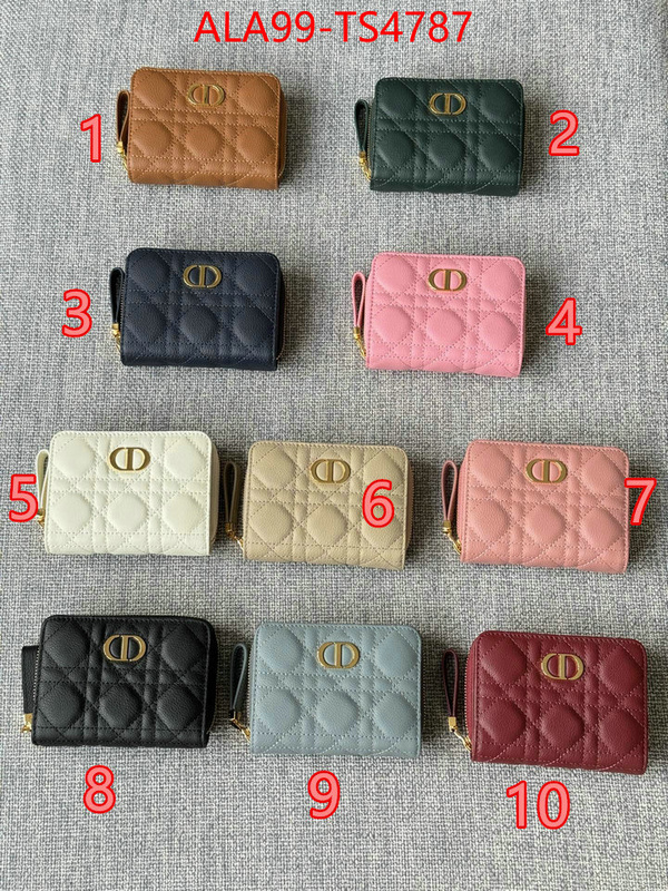 ID: TS4787 $: 99USD,