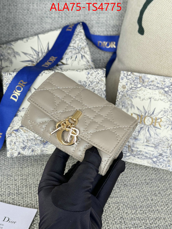 ID: TS4775 $: 75USD,