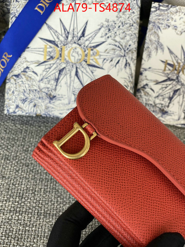 ID: TS4874 $: 79USD,