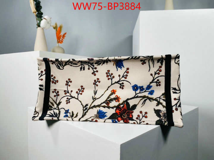 ID: BP3884 $: 75USD,