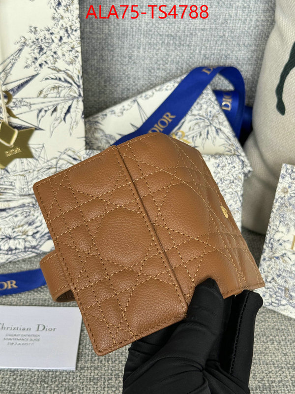ID: TS4788 $: 75USD,