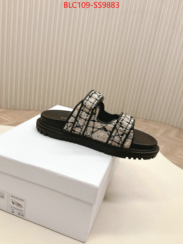 Women Shoes-Dior for sale online ID: SS9883 $: 109USD