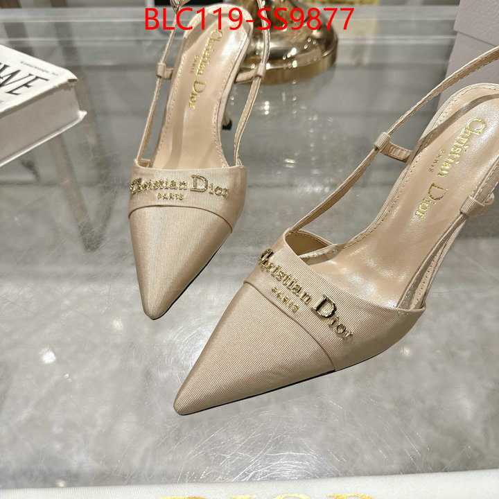 Women Shoes-Dior shop the best high authentic quality replica ID: SS9877 $: 119USD-shoes yupoo Women Shoes-Dior shop the best high authentic quality replica ID: SS9877 $: 119USD