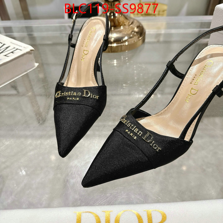 Women Shoes-Dior shop the best high authentic quality replica ID: SS9877 $: 119USD-shoes yupoo Women Shoes-Dior shop the best high authentic quality replica ID: SS9877 $: 119USD