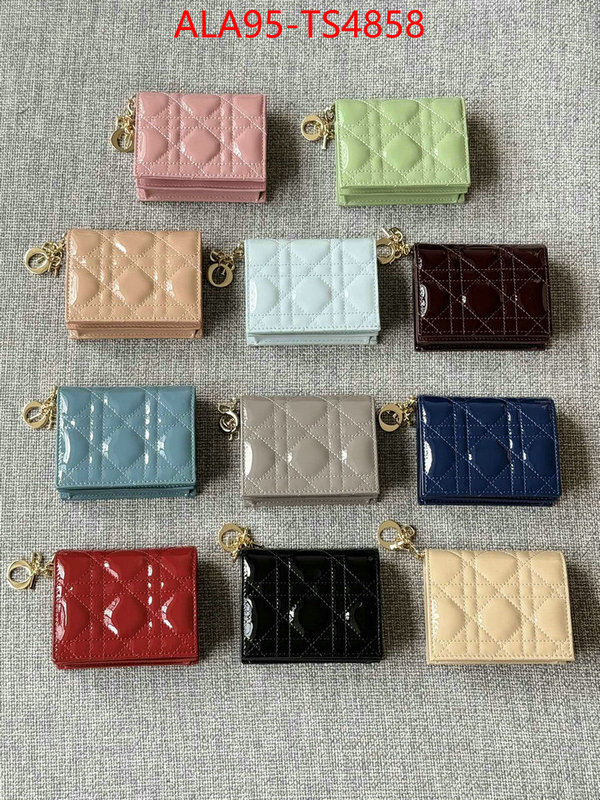 ID: TS4858 $: 95USD,