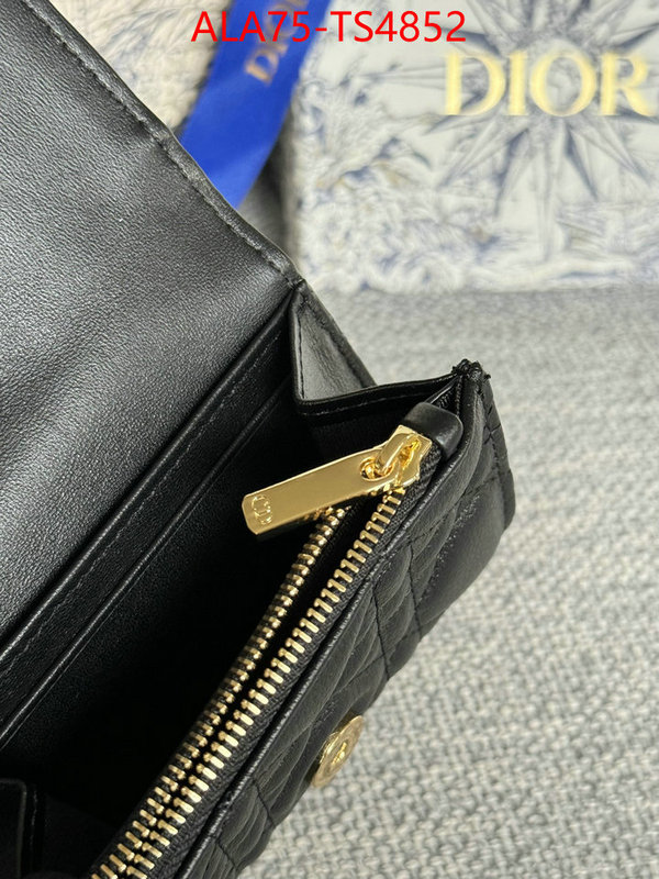 ID: TS4852 $: 75USD,