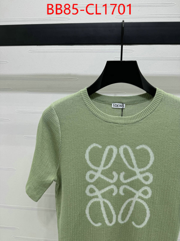 Clothing-Loewe top quality fake ID: CL1701 $: 85USD