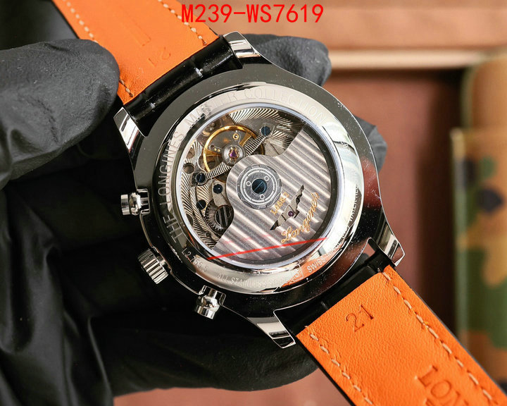ID: WS7619