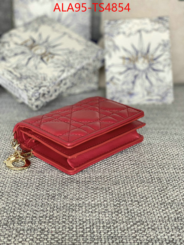 ID: TS4854 $: 95USD,