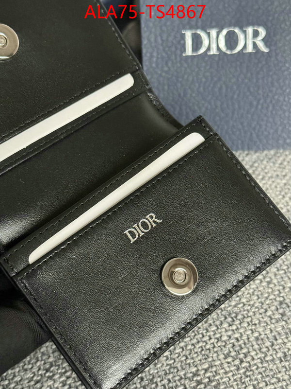 ID: TS4867 $: 75USD,