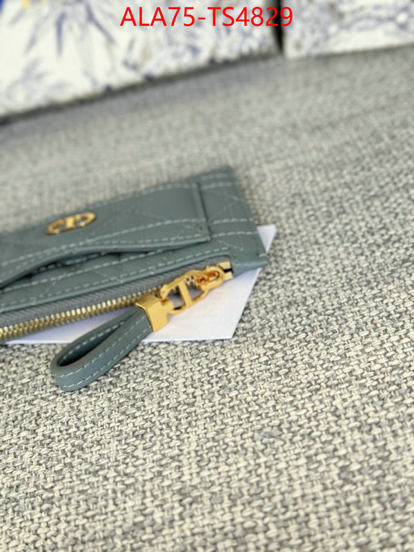 ID: TS4829 $: 75USD,
