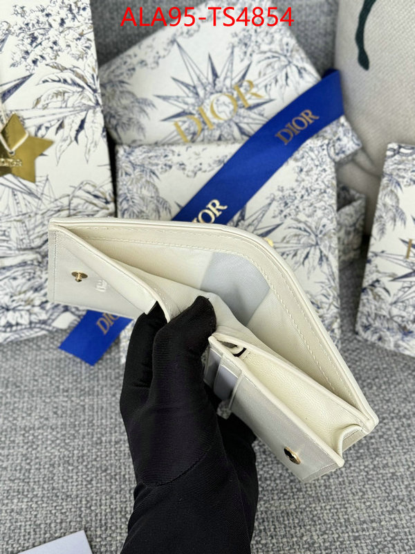 ID: TS4854 $: 95USD,