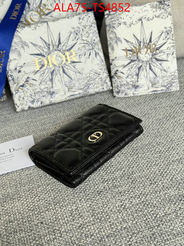 ID: TS4852 $: 75USD,