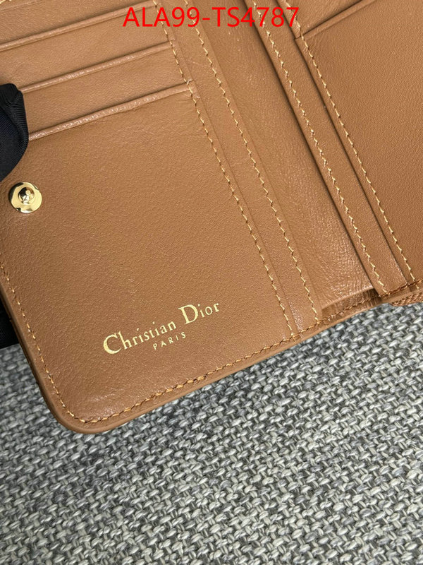 ID: TS4787 $: 99USD,