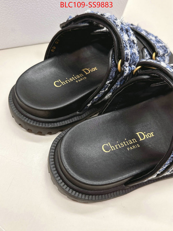 Women Shoes-Dior for sale online ID: SS9883 $: 109USD