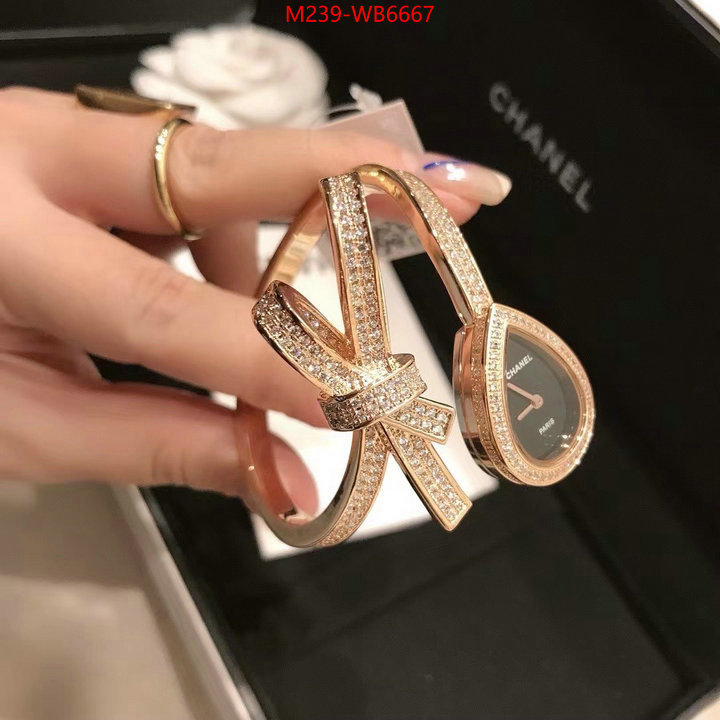 ID: WB6667