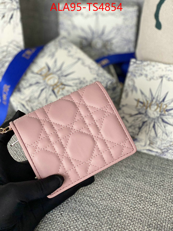 ID: TS4854 $: 95USD,