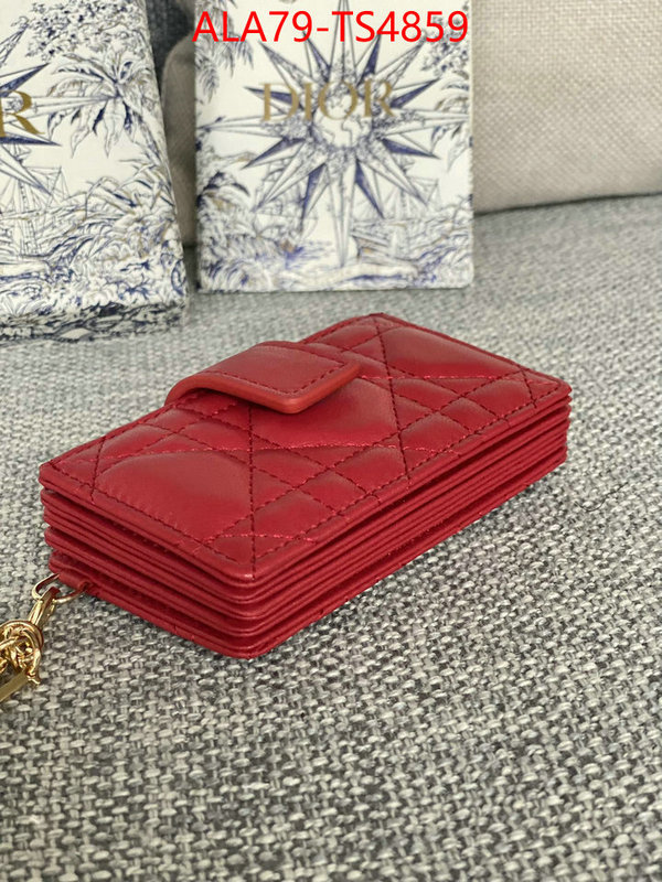 ID: TS4859 $: 79USD,