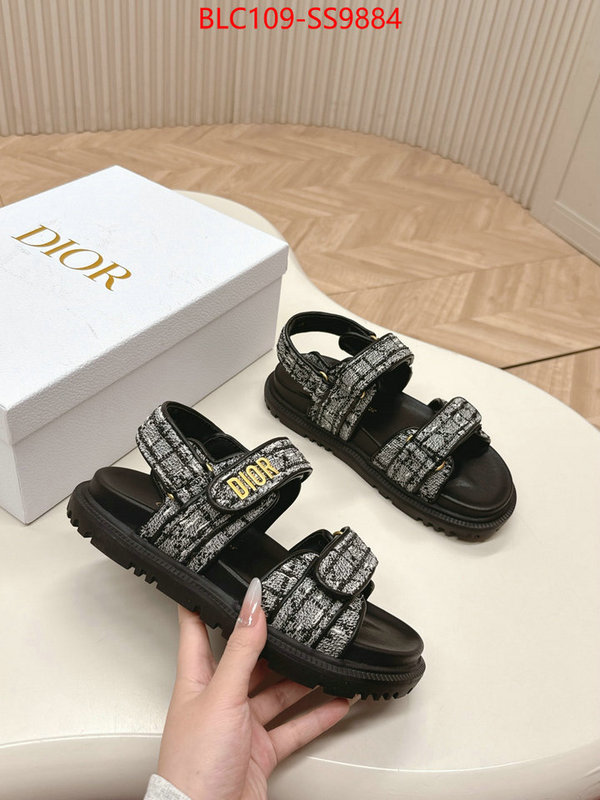 Women Shoes-Dior wholesale 2024 replica ID: SS9884 $: 109USD