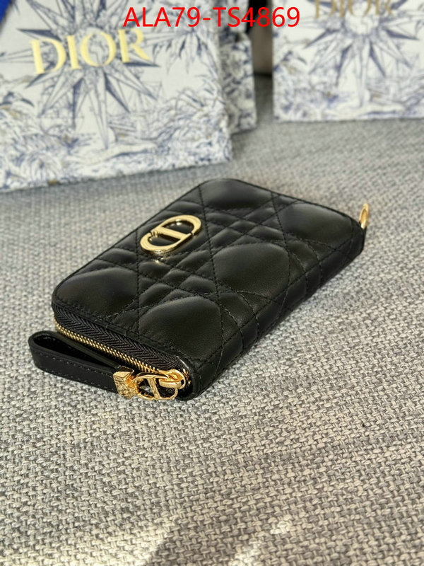 ID: TS4869 $: 79USD,