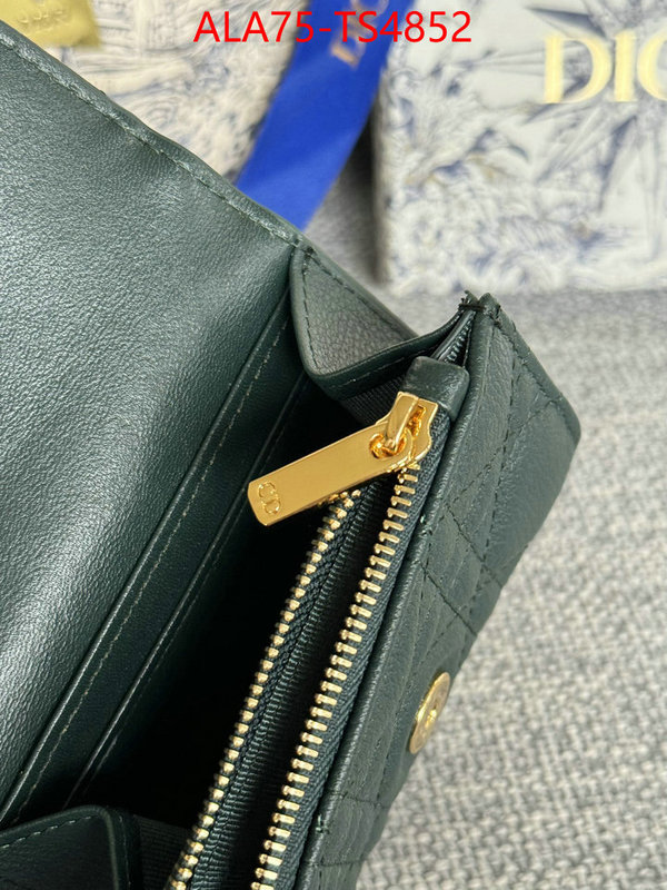 ID: TS4852 $: 75USD,