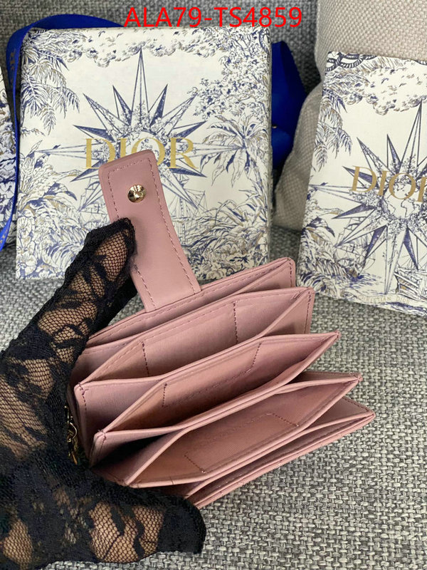 ID: TS4859 $: 79USD,