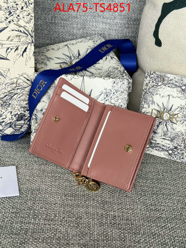 ID: TS4851 $: 75USD,