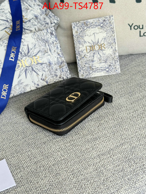 ID: TS4787 $: 99USD,